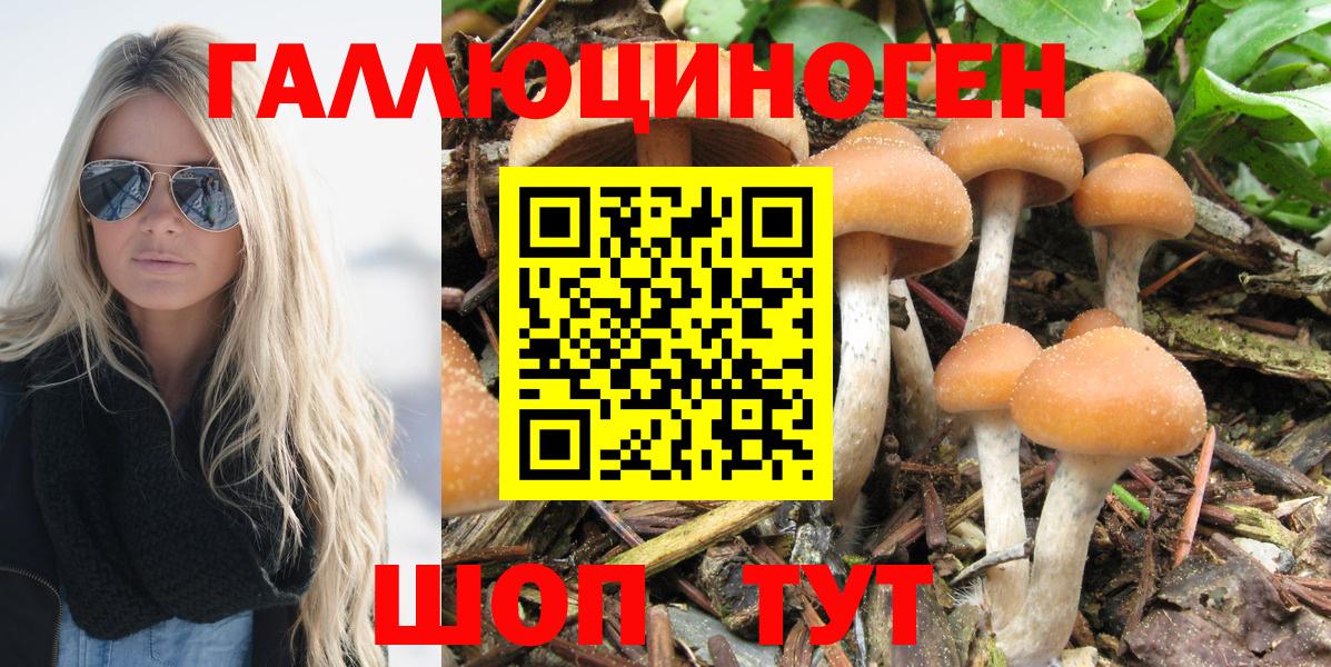 Псилоцибиновые грибы мухоморы  Псилоцибиновые грибы Psilocybine cubensis  Кропоткин  Вход с VPN 